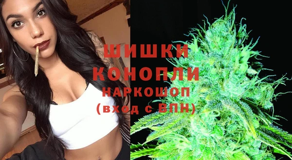 хмурый Елизово