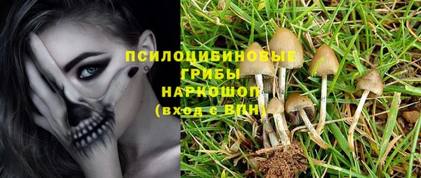 хмурый Елизово