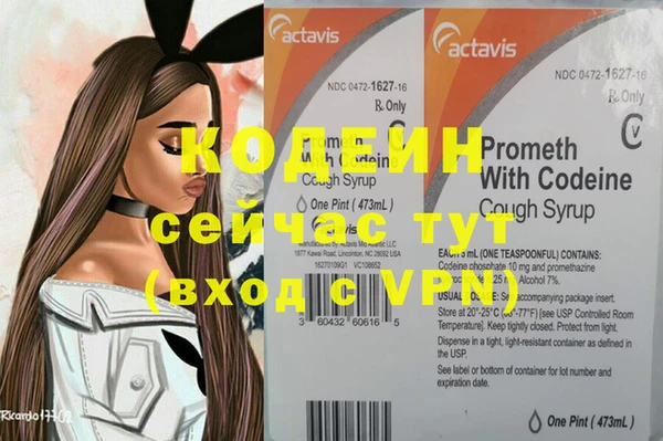 хмурый Елизово