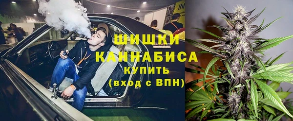 стаф Валдай