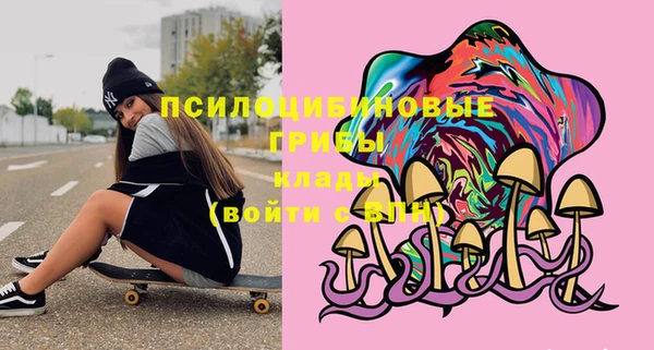 хмурый Елизово