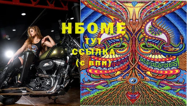 хмурый Елизово