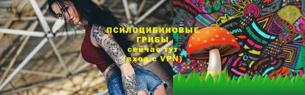 mdma Елабуга