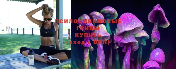 mdma Елабуга