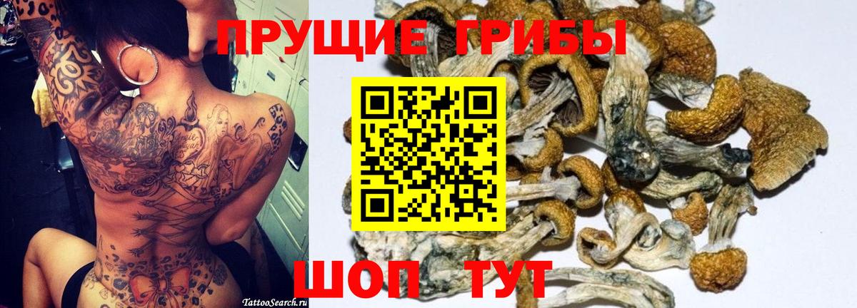 Галлюциногенные грибы Magic Shrooms Ишим